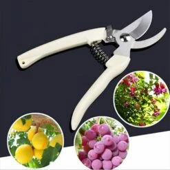 BENOBBY KIDS Ciseaux De Jardin En Acier Inoxydable Outil De Greffage Sécateurs D'Arbres Sécateurs À Bonsaï Ciseaux De Jardin Sécateurs De Jardinage Ciseaux Par Giard (Coude) -Outil de taillage Soldes 64874399 3