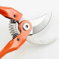 BDD Cisailles De Jardin Multifonctionnelles, Sécateur D'arbres Fruitiers Jardinage Cisailles à Branches De Fleurs économes En Main-d'œuvre -Outil de taillage Soldes 65374145 3