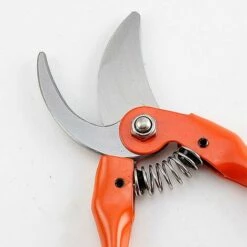 BDD Cisailles De Jardin Multifonctionnelles, Sécateur D'arbres Fruitiers Jardinage Cisailles à Branches De Fleurs économes En Main-d'œuvre -Outil de taillage Soldes 65374145 4