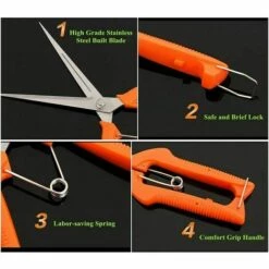 Ensoleillé Cisailles à Cueillir Les Fruits Allongées Cisailles De Jardin Sécateur à Lame Droite Allongée En Acier Inoxydable -Outil de taillage Soldes 65442893 4
