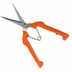 Ensoleillé Cisailles à Cueillir Les Fruits Allongées Cisailles De Jardin Sécateur à Lame Droite Allongée En Acier Inoxydable -Outil de taillage Soldes 65442893 5