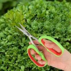 OSQI Ciseaux Acier Inoxydable Japonais Bonsaï Outils De Jardin, Branche D'arbre Fruitier Ciseaux De Coupe Outils De Jardin Raisin Sécateur -Outil de taillage Soldes 65503160 5