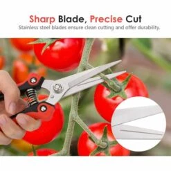 OSQI Sécateurs, Sécateurs Manuels De Jardinage En Acier Inoxydable Robustes Cisailles De Jardin Polyvalentes Ultra Tranchantes Pour La Cueillette De Fruits, Tailler Les Fleurs Des Plantes, Noir Et Rouge -Outil de taillage Soldes 65505161 5