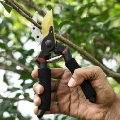 HELLO KITTY BAIN Cisailles De Jardin, Sécateur Professionnel De Dérivation De 8 Po, Sécateur à Main -Outil de taillage Soldes 65623470 5