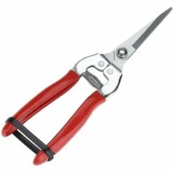 HELLO KITTY BAIN Lame De Greffage, Machine De Greffage De Semis, Greffage, Outil De Greffage