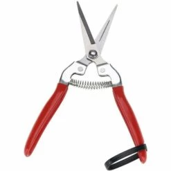 HELLO KITTY BAIN Lame De Greffage, Machine De Greffage De Semis, Greffage, Outil De Greffage -Outil de taillage Soldes 65626923 5