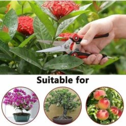 ZHUOXUAN Sécateur à Main De Jardinage Avec Lames Droites En Acier Inoxydable, Ciseaux De Jardin Ultra Tranchants Pour Fleurs, Plantes De Coupe -Outil de taillage Soldes 66355705 3