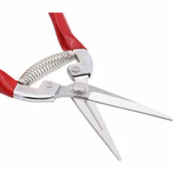 LUCKY-88 Sécateur à Fleurs Bonsai Plantes, épinette De Jardin Inoxydable(GPPS-1008). Ciseaux Pour Fleuriste Et Jardinage Colibri -Outil de taillage Soldes 67280617 2