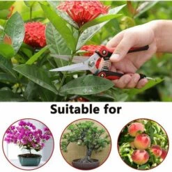 ENLENK Sécateur à Main De Jardinage Avec Lames Droites En Acier Inoxydable, Ciseaux De Jardin Ultra Tranchants Pour Fleurs, Taille Des Plantes -Outil de taillage Soldes 67475478 4