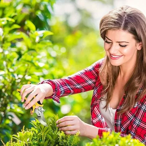 ENLENK Sécateur De Jardinage Ciseaux De Jardin Avec Lame/Ressort En Acier Inoxydable Poignée Antiglisse Couleur: Jaune 5 ENLENK Sécateur De Jardinage Ciseaux De Jardin Avec Lame/Ressort En Acier Inoxydable Poignée Antiglisse Couleur: Jaune – Image 3