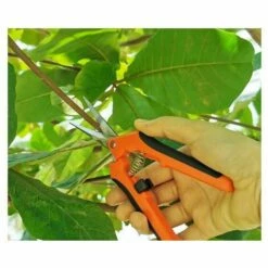 ENLENK Sécateur De Jardinage Manuel Professionnel En Acier Inoxydable G85 Orange Noir Ciseaux De Jardinage Droit Emballage De Carte (orange) -Outil de taillage Soldes 67839407 4