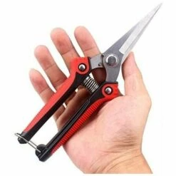 Cisea Sécateur Ciseaux Micro-Tip De Jardinage à Fleurs Durable Des Outils 180mm En Acier Inoxydable De Bonsa?s D'élagage D'arbres Fruitiers