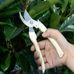 OYLDA Sécateur De Jardin De Qualité Supérieure, Outils De Jardinage, Sécateurs De Jardin, Sécateur De 8 Pouces -Outil de taillage Soldes 68140191 4