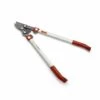OUTILS WOLF Coupe Branche à Coupe Franche Wolf OS650