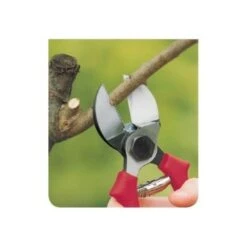 LEM SELECT Sécateur Professionnel Fruitiers Double Lame Forgée L 210 Mm Coupe Ø 24 Mm -Outil de taillage Soldes 8445305 3